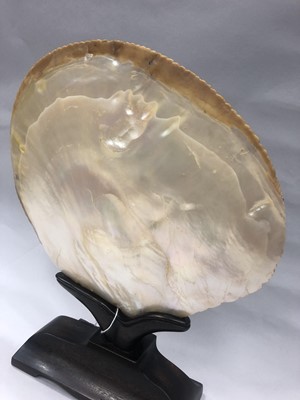 Lot 890 - CHINESE ABALONE SHELL ON WOOD STAND, 19th...