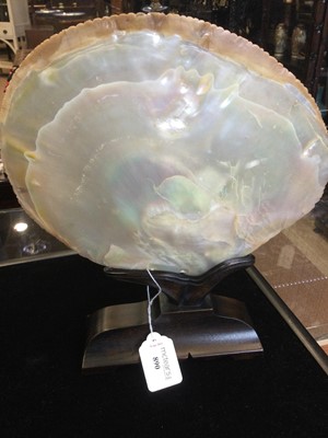 Lot 890 - CHINESE ABALONE SHELL ON WOOD STAND, 19th...