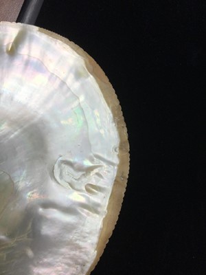 Lot 890 - CHINESE ABALONE SHELL ON WOOD STAND, 19th...