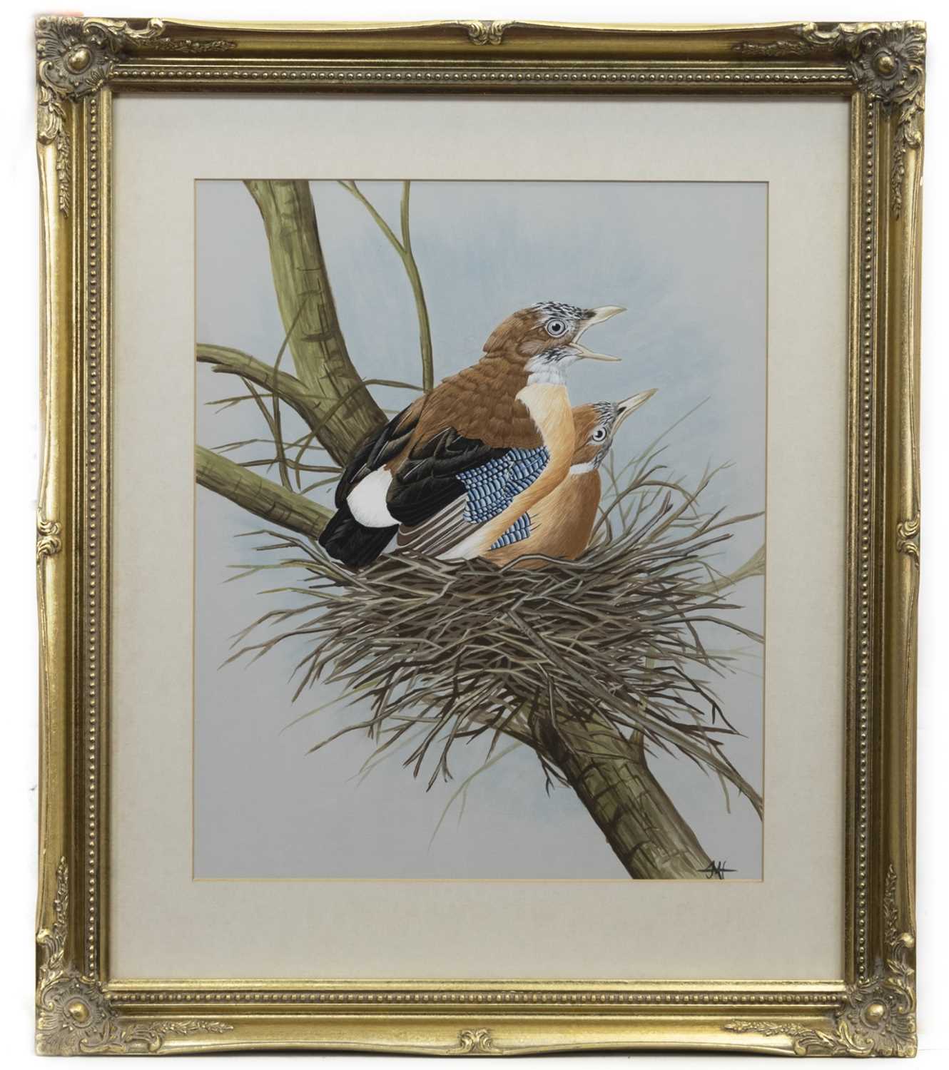 Lot 24 - NESTED BIRDS, A 20TH CENTURY WATERCOLOUR