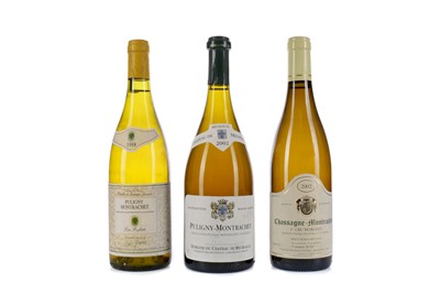 Lot 110 - TWO BOTTLES OF PULIGNY-MONTRACHET, AND ONE CHASSABGNE-MONTRACHET