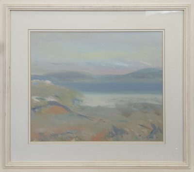 Lot 667 - EVENING LIGHT, HARRIS HILLS, A MIXED MEDIA BY IRENE LESLEY MAIN