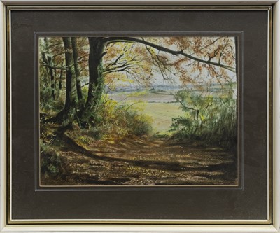 Lot 244 - SUMMER'S END, A WATERCOLOUR BY DAVID MCNIDDER