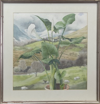 Lot 798 - ARUM LILIES AND GLEN LUSS,  A WATERCOLOUR BY JUNE SHANKS