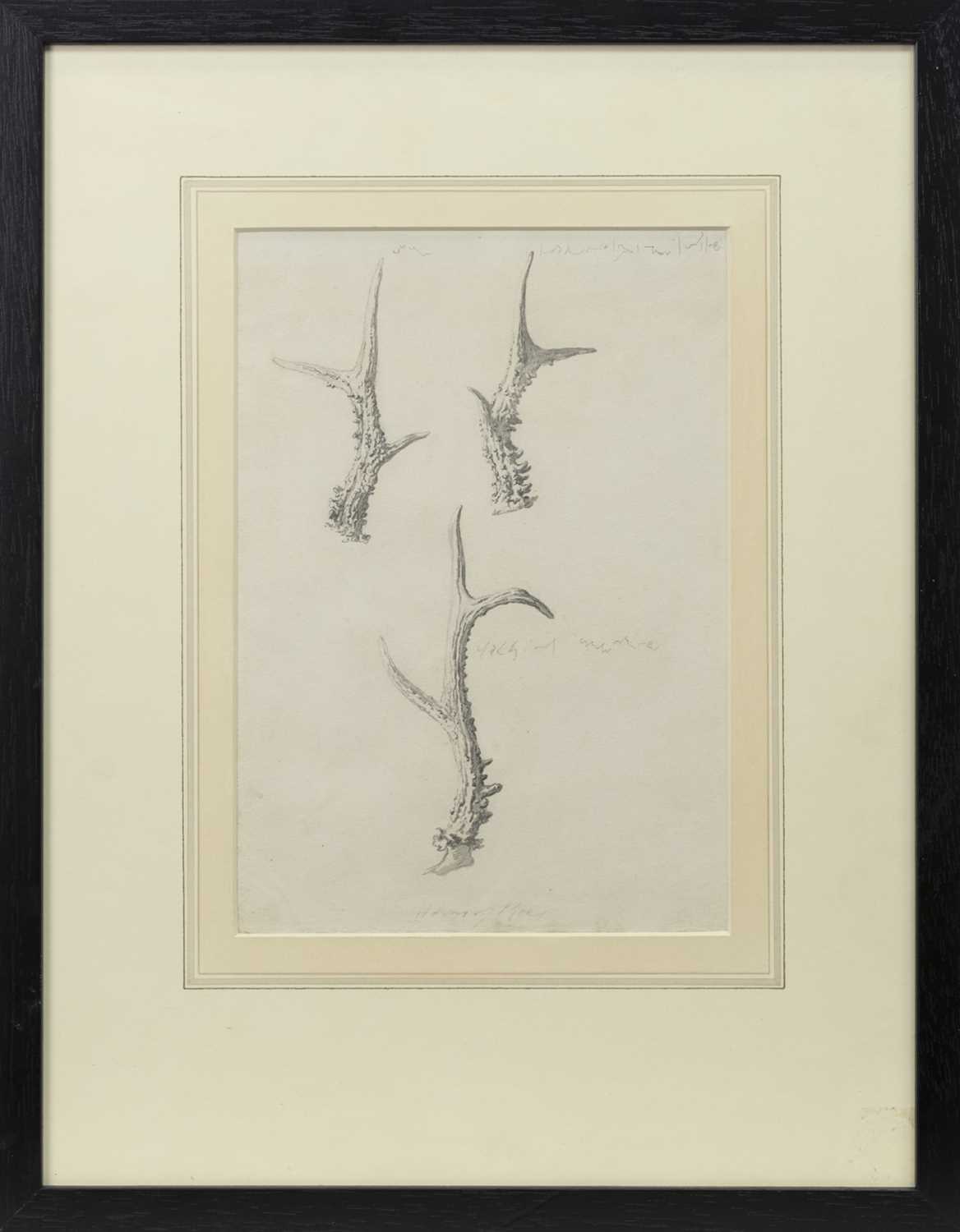 Lot 116 - ORGANIC STUDIES, A PENCIL SKETCH FROM THE CIRCLE OF GRAHAM VIVIAN SUTHERLAND