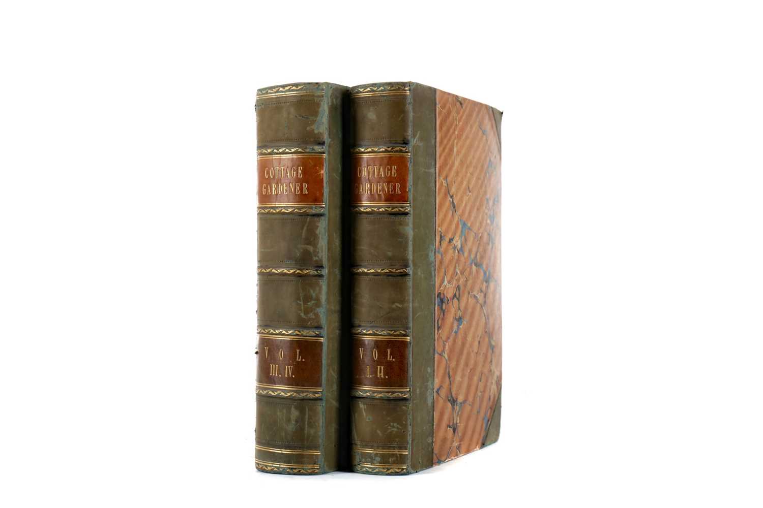 Lot 1100 - TWO VOLUMES, JOHNSON (GEORGE W) - THE COTTAGE GARDENER
