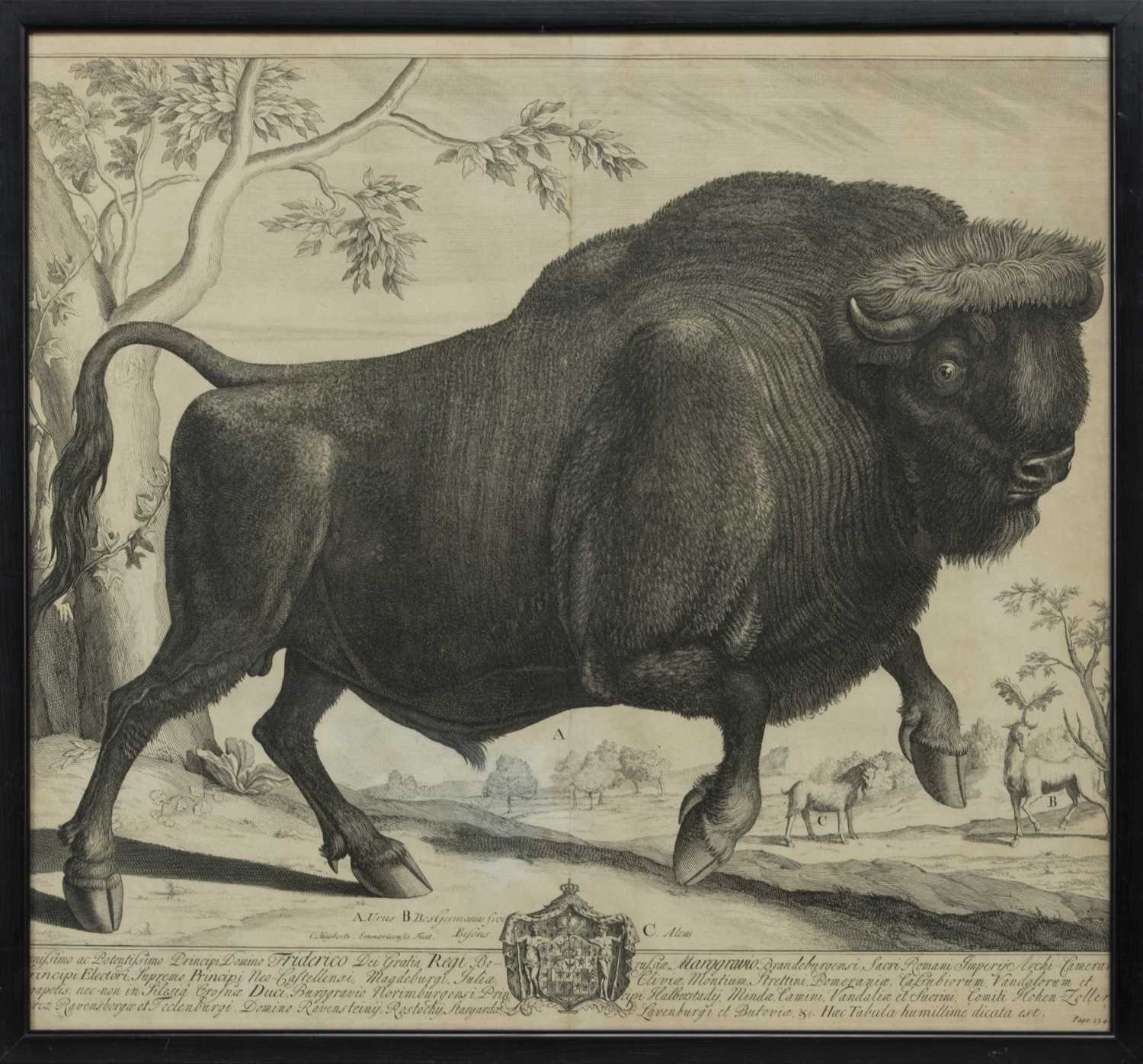 Lot 23 - BISON, AN 18TH CENTURY COPPER ENGRAVING