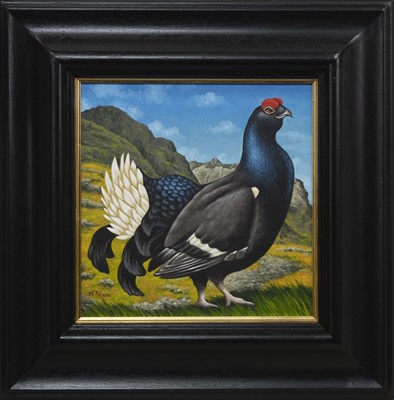 Lot 742 - THE MAJESTIC BLACK GROUSE OF GLENCOE, AN OIL BY GRAHAM MCKEAN