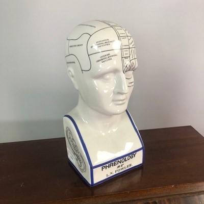 Lot 516 - A PHRENOLOGY HEAD BY L.N FOWLER