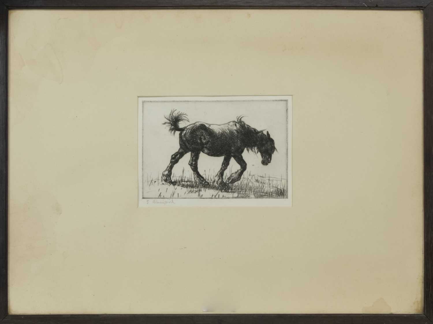 Lot 56 - WEARY, AN ETCHING BY EDMUND BLAMPIED