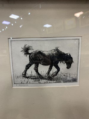 Lot 56 - WEARY, AN ETCHING BY EDMUND BLAMPIED