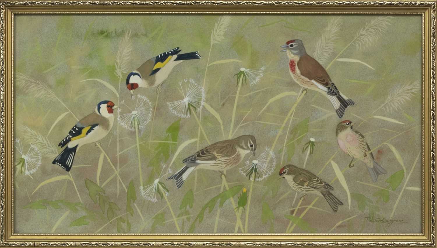 Lot 37 - PERCHED BIRDS, A WATERCOLOUR BY RALSTON GUDGEON