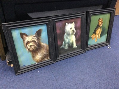 Lot 188 - A LOT OF THREE DOG PORTRAITS BY D MCARTHUR, AND FOUR OTHERS