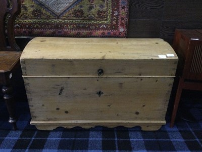 Lot 536 - A PINE TRUNK