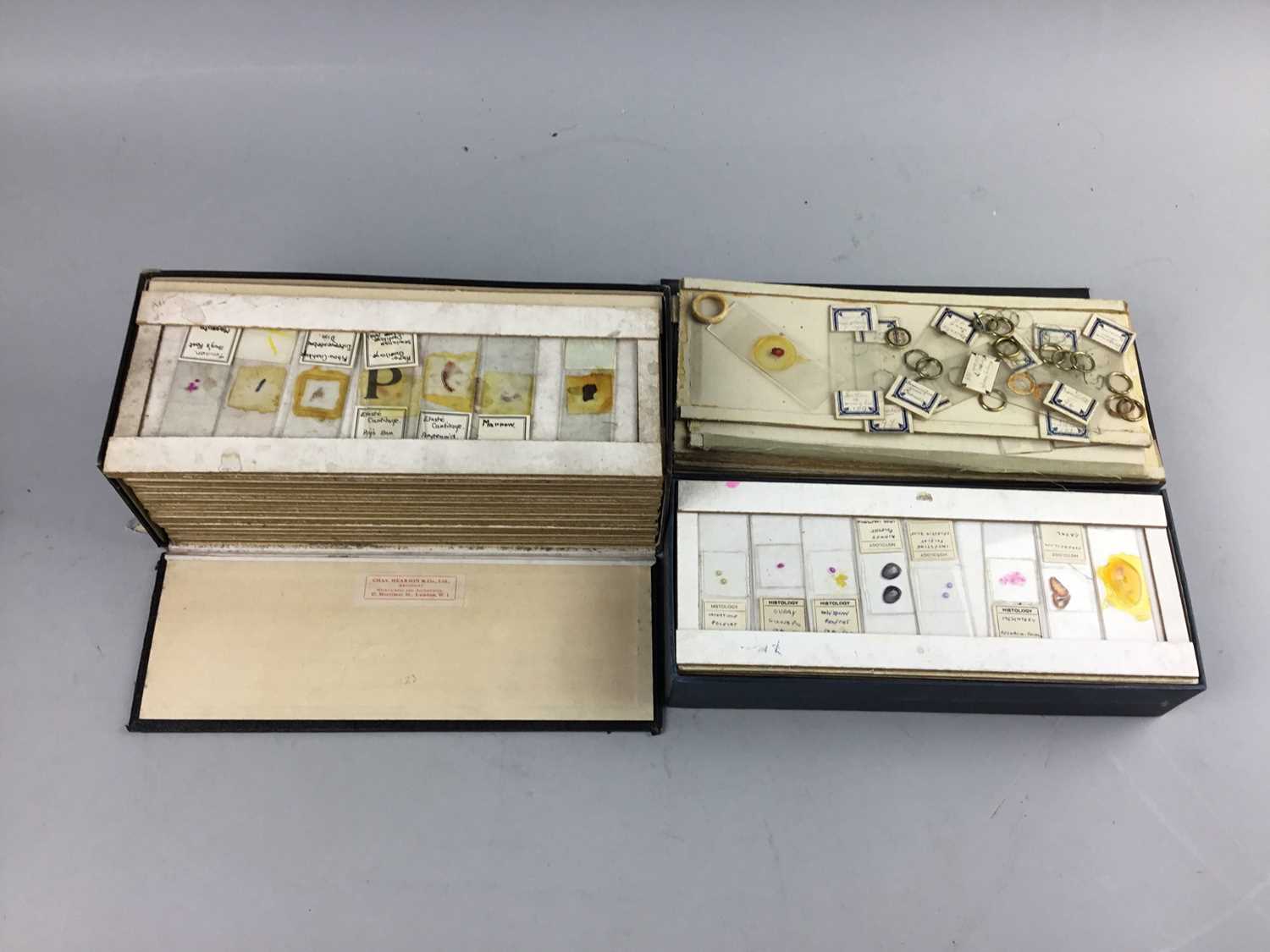Lot 32 - A COLLECTION OF MICROSCOPE SLIDES