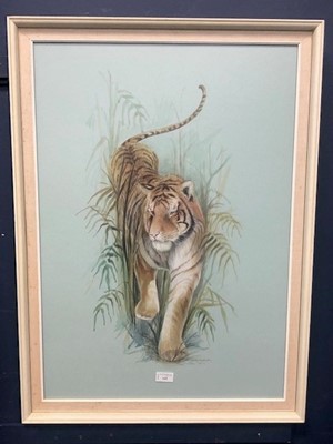 Lot 162 - A WATERCOLOUR OF A TIGER BY DAISY BUDGE