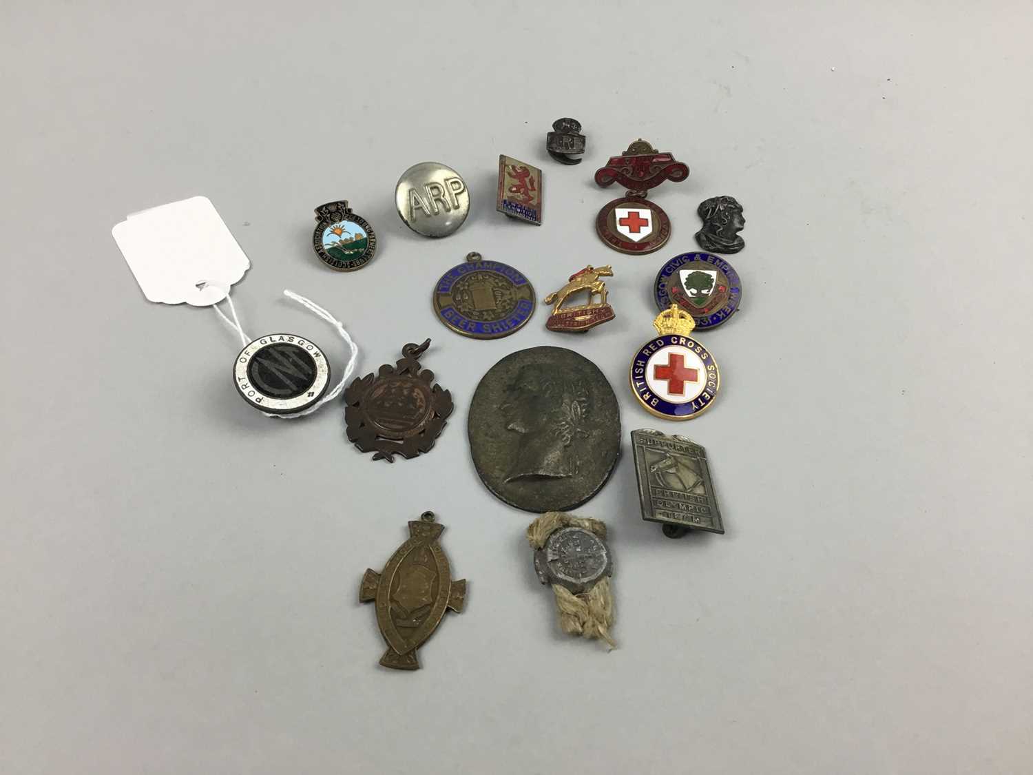 Lot 74 - A LOT OF ENAMEL AND OTHER BADGES