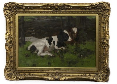 Lot 2011 - TWO CALVES, AN OIL BY DAVID GAULD