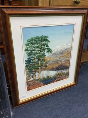 Lot 390 - A LOT OF THREE FRAMED PICTURES