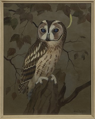 Lot 150 - OWL, A GOUACHE BY RALSTON GUDGEON