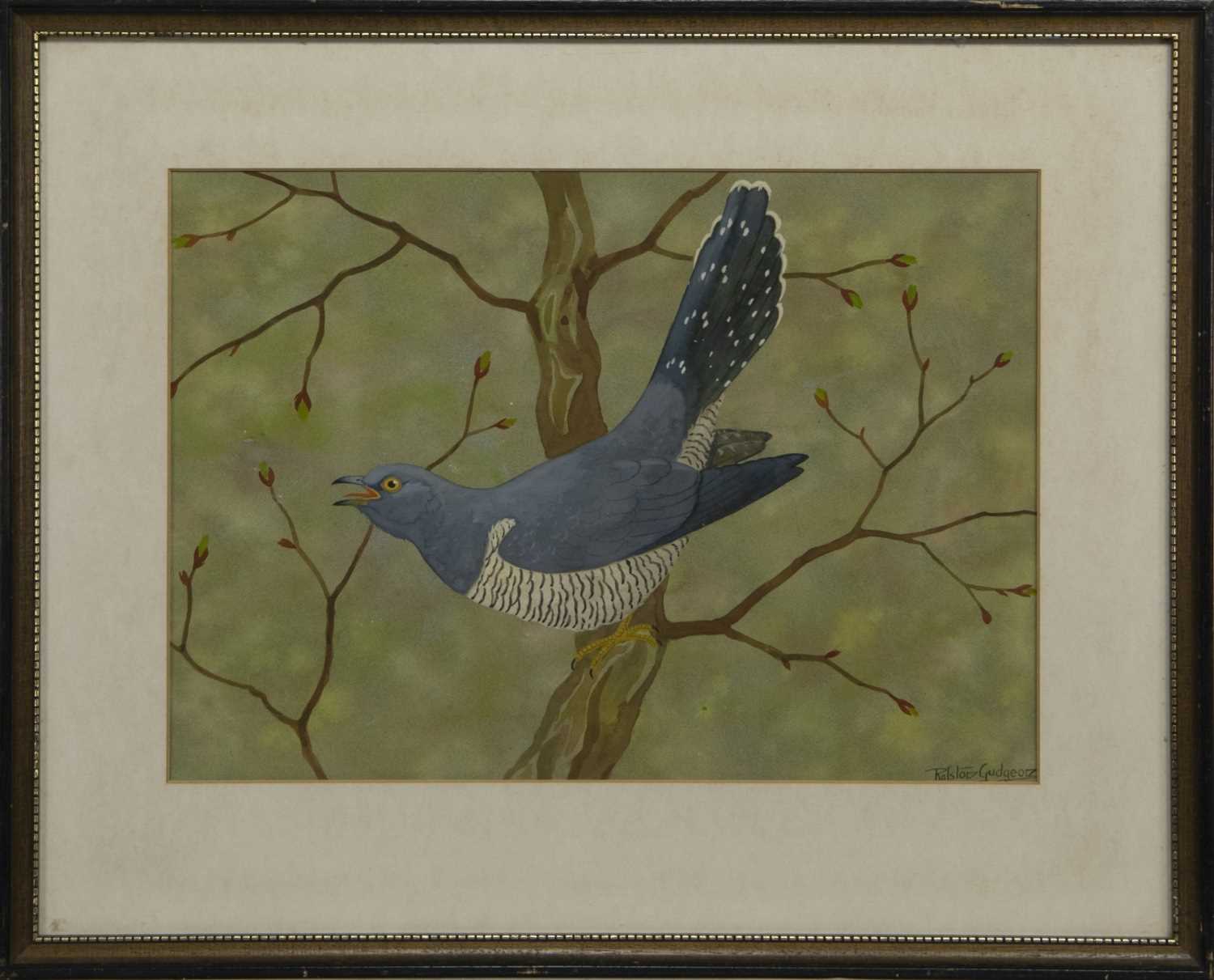 Lot 153 - CUCKOO, A GOUACHE BY RALSTON GUDGEON