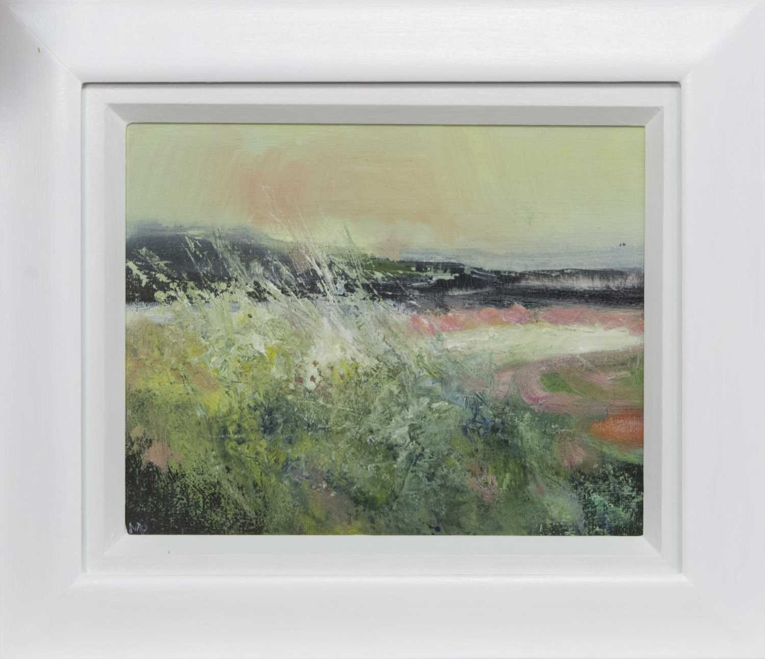 Lot 765 - SUMMER DAY, HEBRIDES, AN OIL BY MAY BYRNE