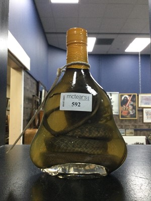 Lot 592 - A VICTORIAN SNAKE AND SCORPION IN A BOTTLE