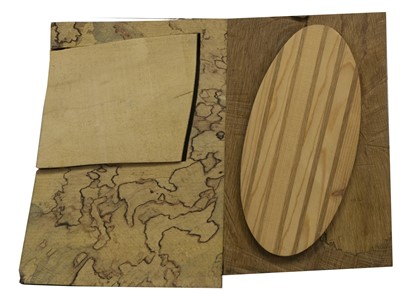 Lot 550 - GEOGRAPHY, A WOOD INSTALLATION BY DOUG COCKER