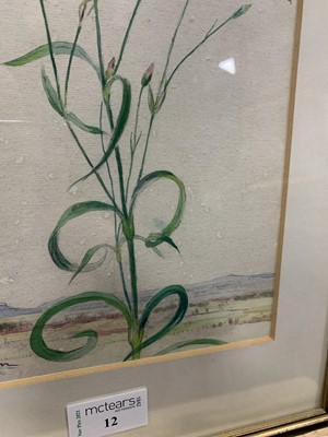 Lot 12 - FLOWER STUDY, A WATERCOLOUR BY KATHARINE CAMERON