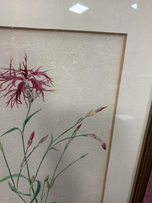 Lot 12 - FLOWER STUDY, A WATERCOLOUR BY KATHARINE CAMERON