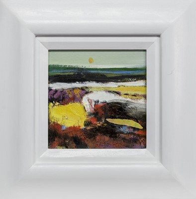 Lot 695 - AUTUMN SUN, A MIXED MEDIA BY MAY BYRNE