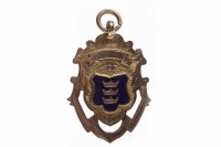 Lot 1112 - EDWARDIAN NINE CARAT GOLD AND ENAMEL MEDAL...