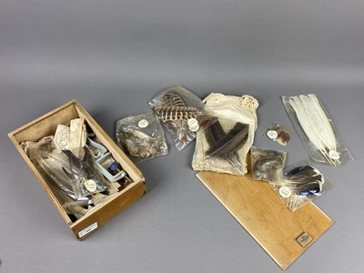 Lot 405 - A BOX OF FLY TYING FEATHERS