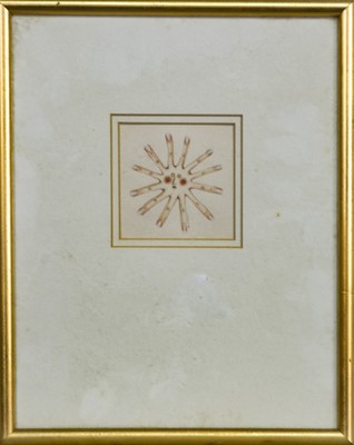 Lot 716 - FINGER SUN, A WATERCOLOUR BY CLARE MACKIE