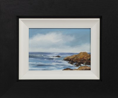 Lot 806 - TAKING TIME TO REFLECT, AN OIL BY DARREN SCOTT