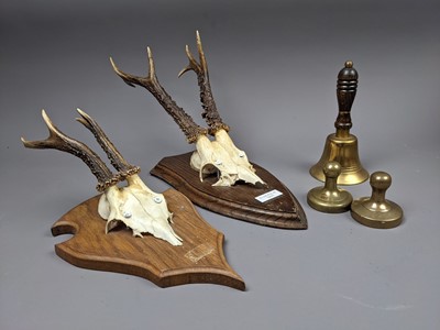Lot 284 - A PAIR OF MOUNTED ANTLERS AND PART SKULL