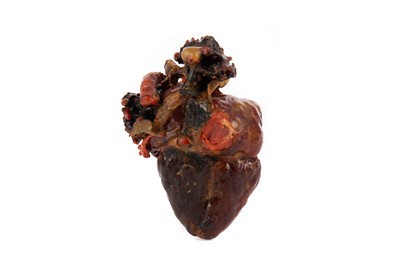 Lot 1159 - A LATE 19TH / EARLY 20TH CENTURY WAX ANATOMICAL STUDY