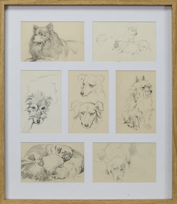 Lot 525 - 7 DOG STUDIES BY JOHN MURRAY THOMSON
