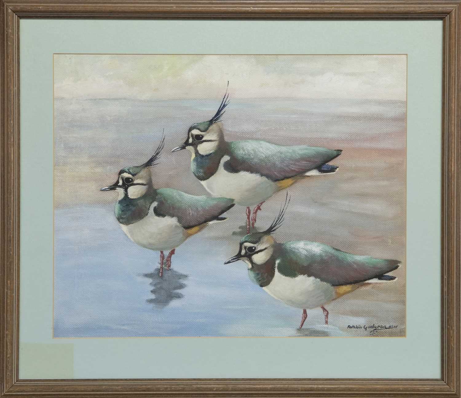 Lot 278 - THREE LAPWINGS, AN OIL BY RALSTON GUDGEON