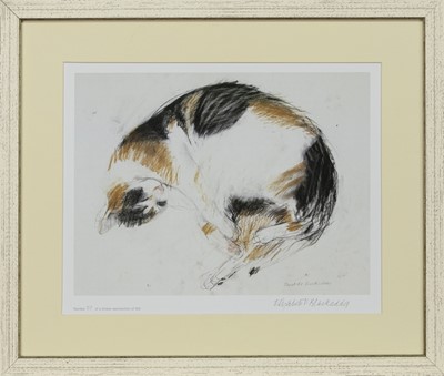 Lot 639 - CALICO CAT, A PRINT BY ELIZABETH BLACKADDER