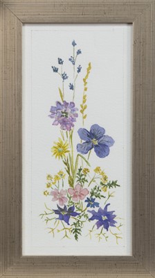 Lot 325 - THREE PRESSED FLOWER STUDIES BY T YOUNGSON