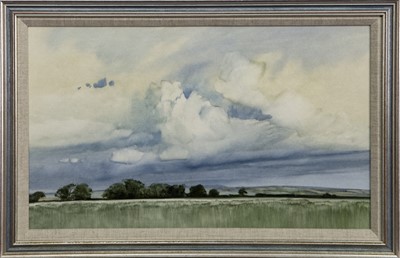 Lot 703 - BALGOVE, AN OIL BY JAMES MORRISON