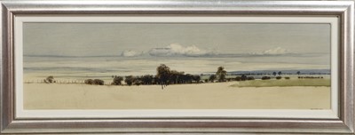 Lot 704 - HEDGE ROW, AN OIL BY JAMES MORRISON