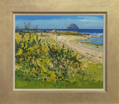 Lot 725 - THE VIEW TO AILSA CRAIG, AN OIL BY JAMES HARRIGAN