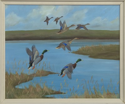 Lot 771 - DUCKS IN FLIGHT, A GOUACHE BY RALSTON GUDGEON