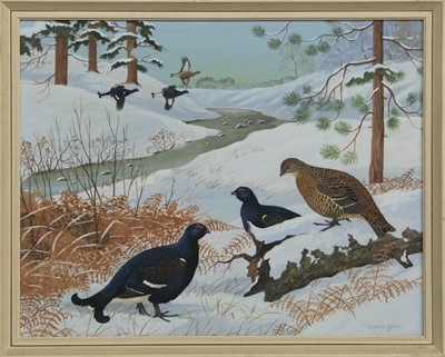 Lot 773 - BLACK GROUSE, A GOUACHE BY RALSTON GUDGEON