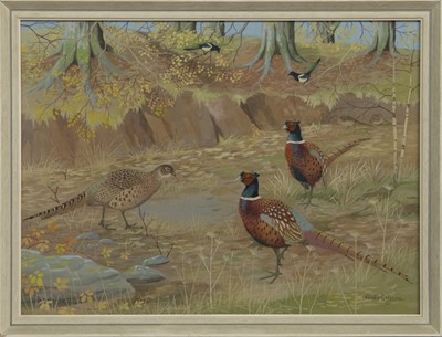 Lot 774 - PHEASANTS, A GOUACHE BY RALSTON GUDGEON