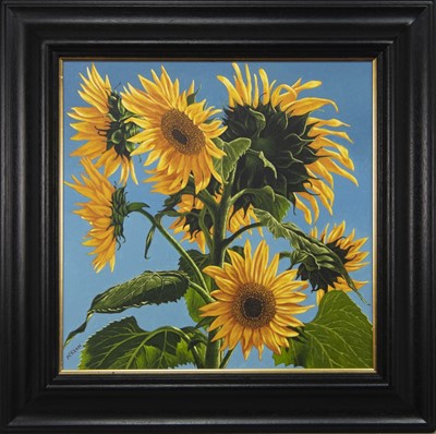 Lot 696 - GLORIOUS SUNFLOWERS, AN OIL BY GRAHAM MCKEAN