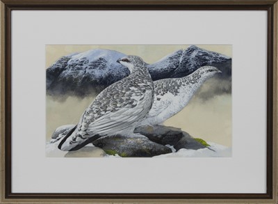 Lot 137 - PTARMIGAN IN SNOW, A GOUACHE BY JAMES RENNY