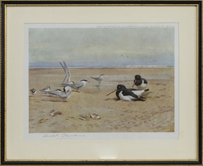 Lot 145 - AN UNTITLED PRINT BY ARCHIBALD THORBURN